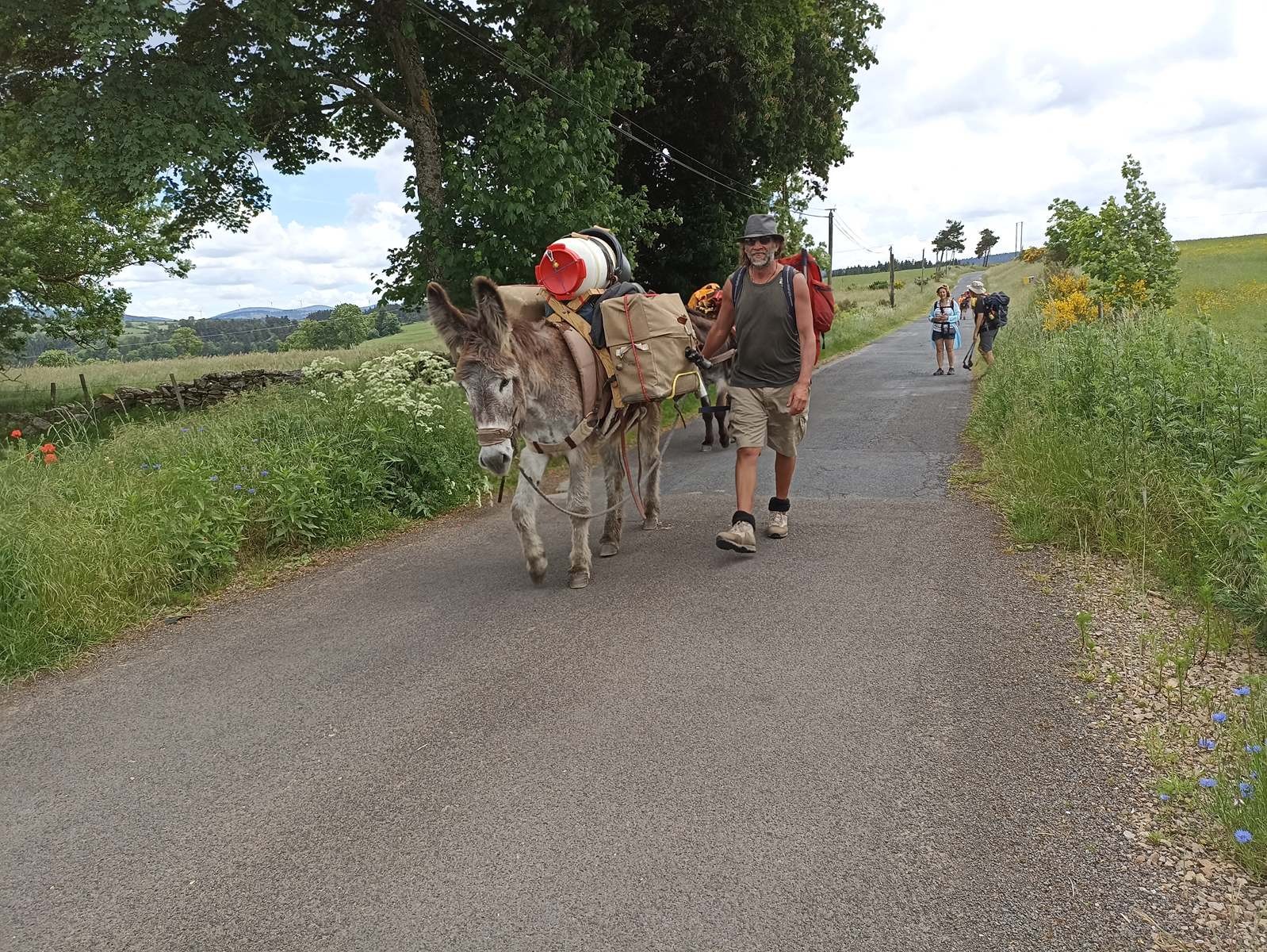 11 Juin: Quatrième étape de Arquejols à L'Herm par Pradelles et Langogne