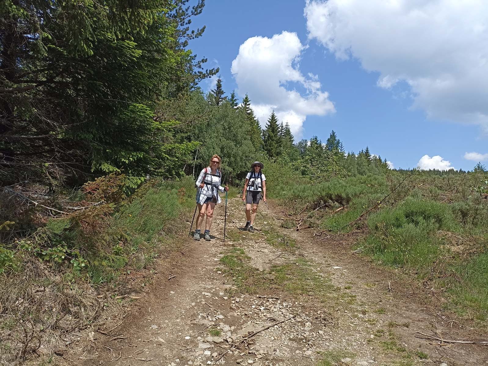 14 Juin: Septième étape de Chabalier au Bleymard par Chasseradès