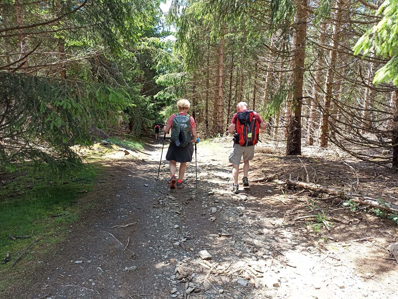 14 Juin: Septième étape de Chabalier au Bleymard par Chasseradès