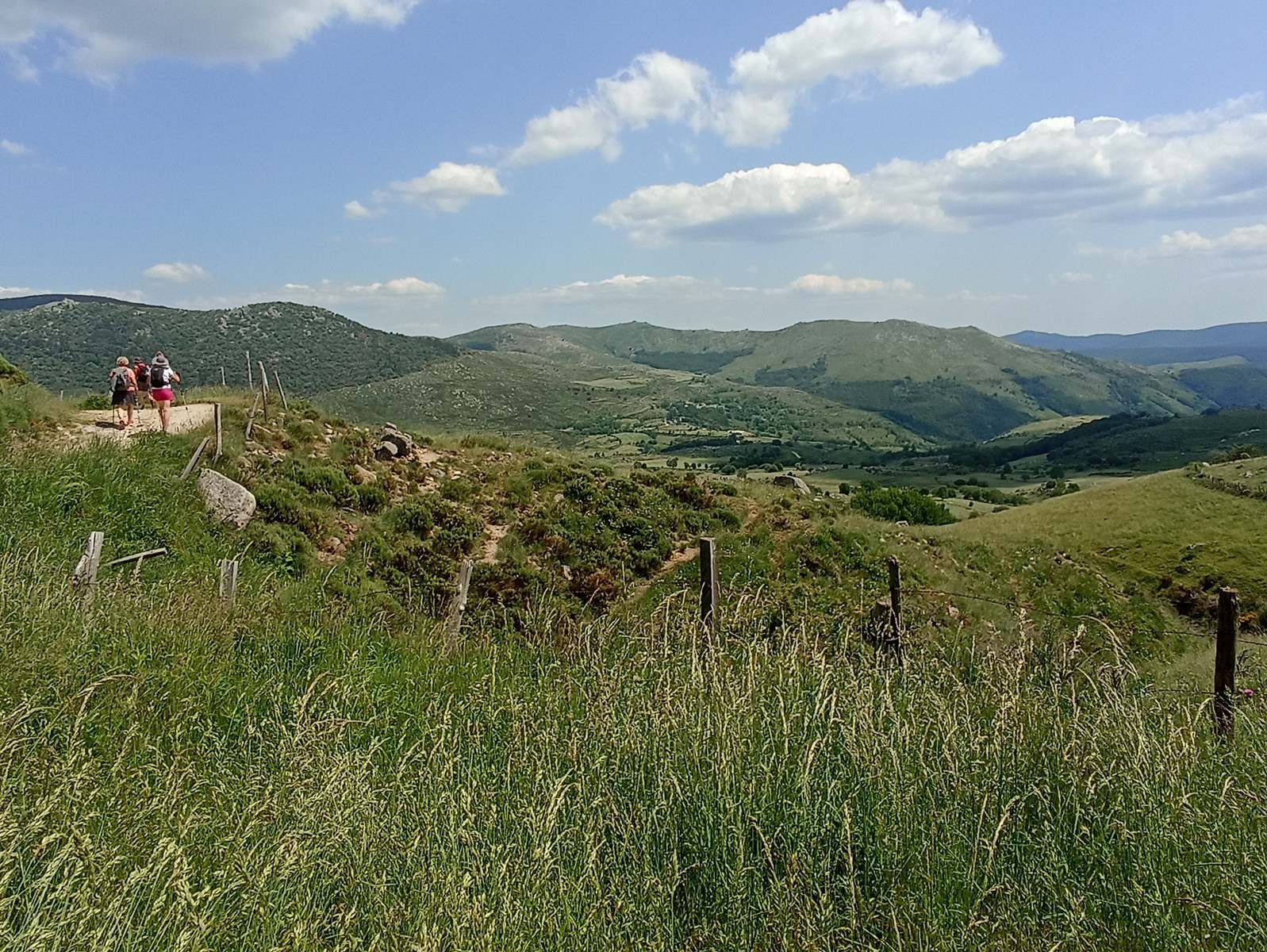 15 Juin: Huitième étape du Bleymard au Pont-de-Montvert par le Mont Lozère (1699m)