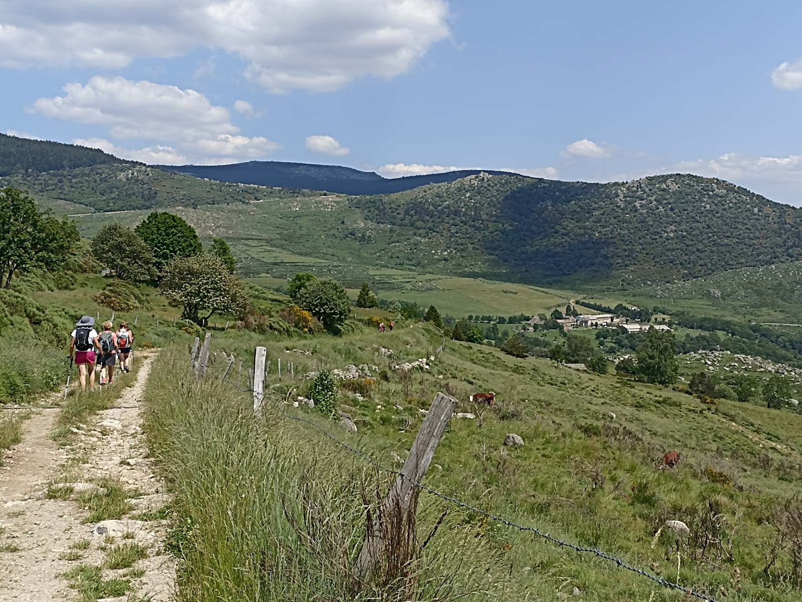 15 Juin: Huitième étape du Bleymard au Pont-de-Montvert par le Mont Lozère (1699m)