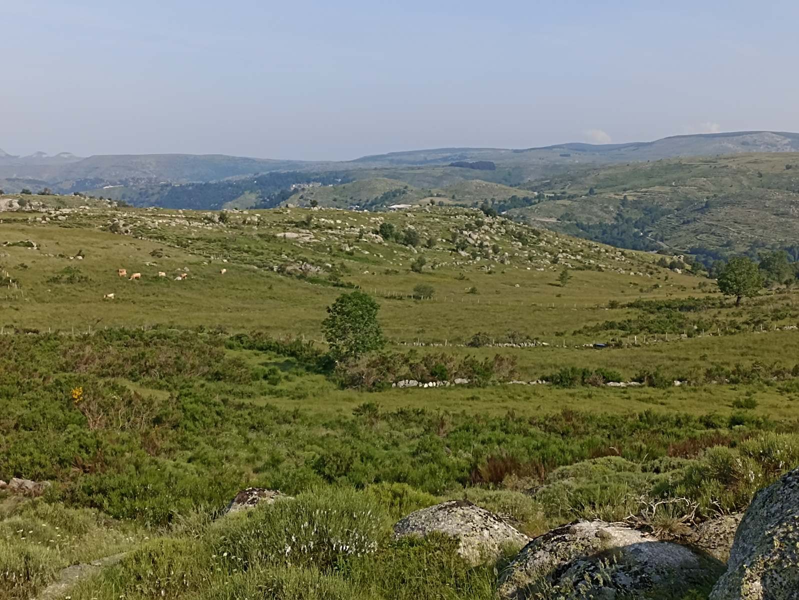 16 Juin: Neuvième étape de Pont-de-Montvert à Bédouès par le Col de Sapet