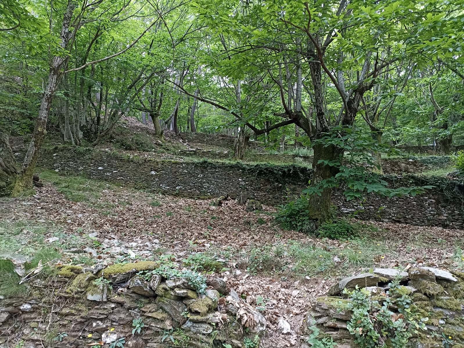 18 Juin: Onzième étape de l'ancienne gare de Cassagnas àLébou par St-Germain-de-Calberte