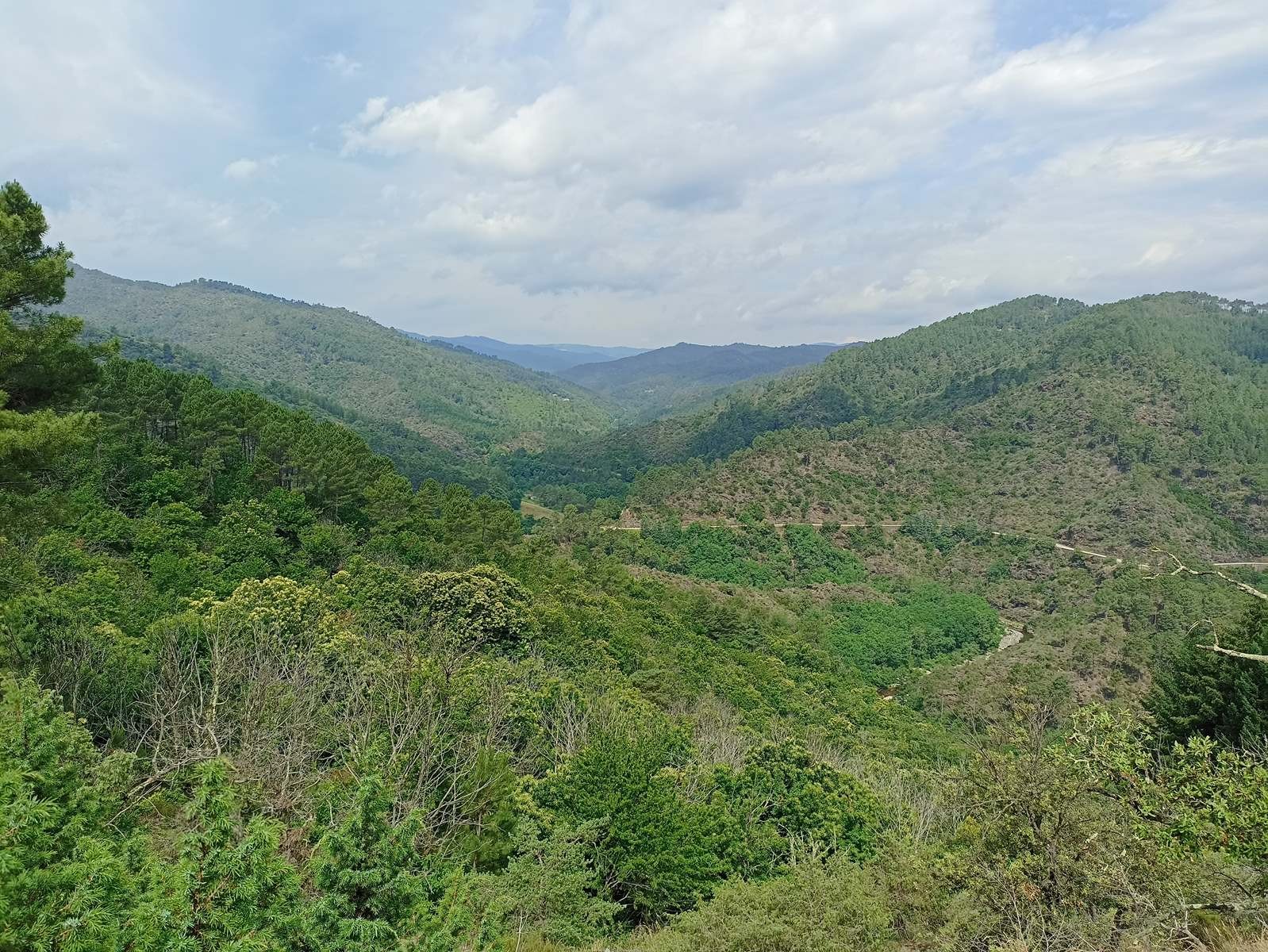 19 Juin: Douzième étape de Lébou à St-Jean-du-Gard par St-Etienne-Vallée-Française