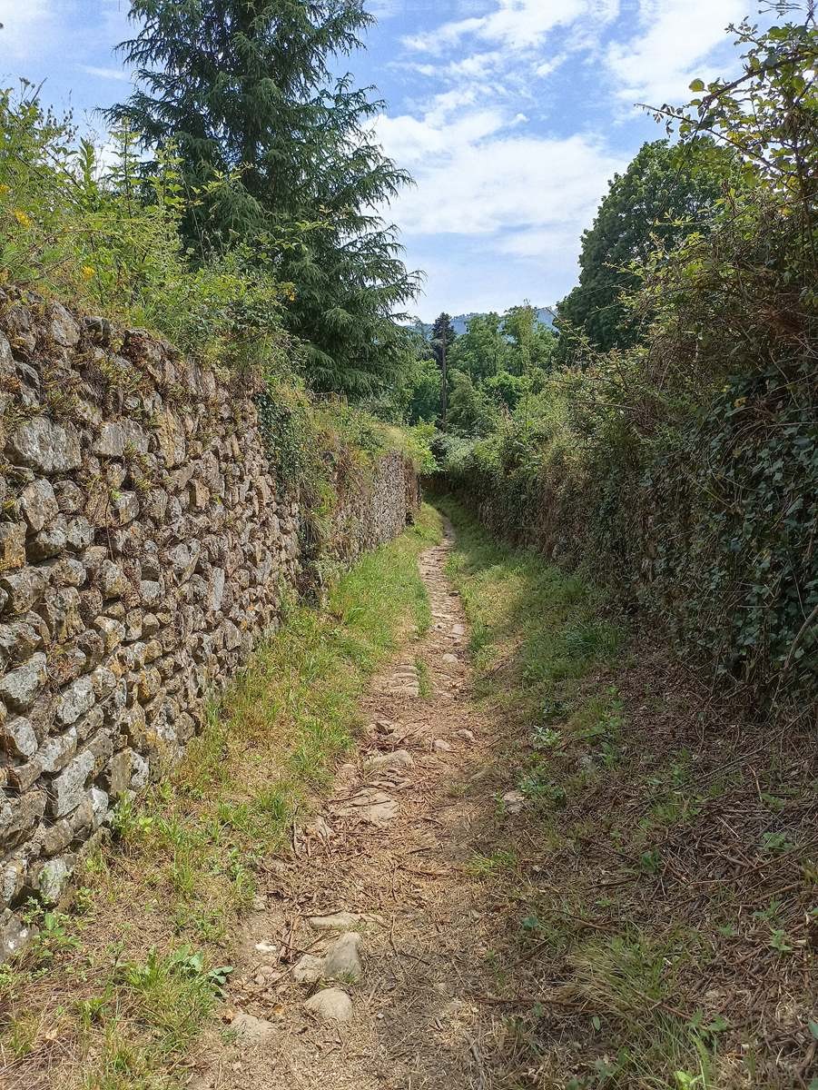 19 Juin: Douzième étape de Lébou à St-Jean-du-Gard par St-Etienne-Vallée-Française
