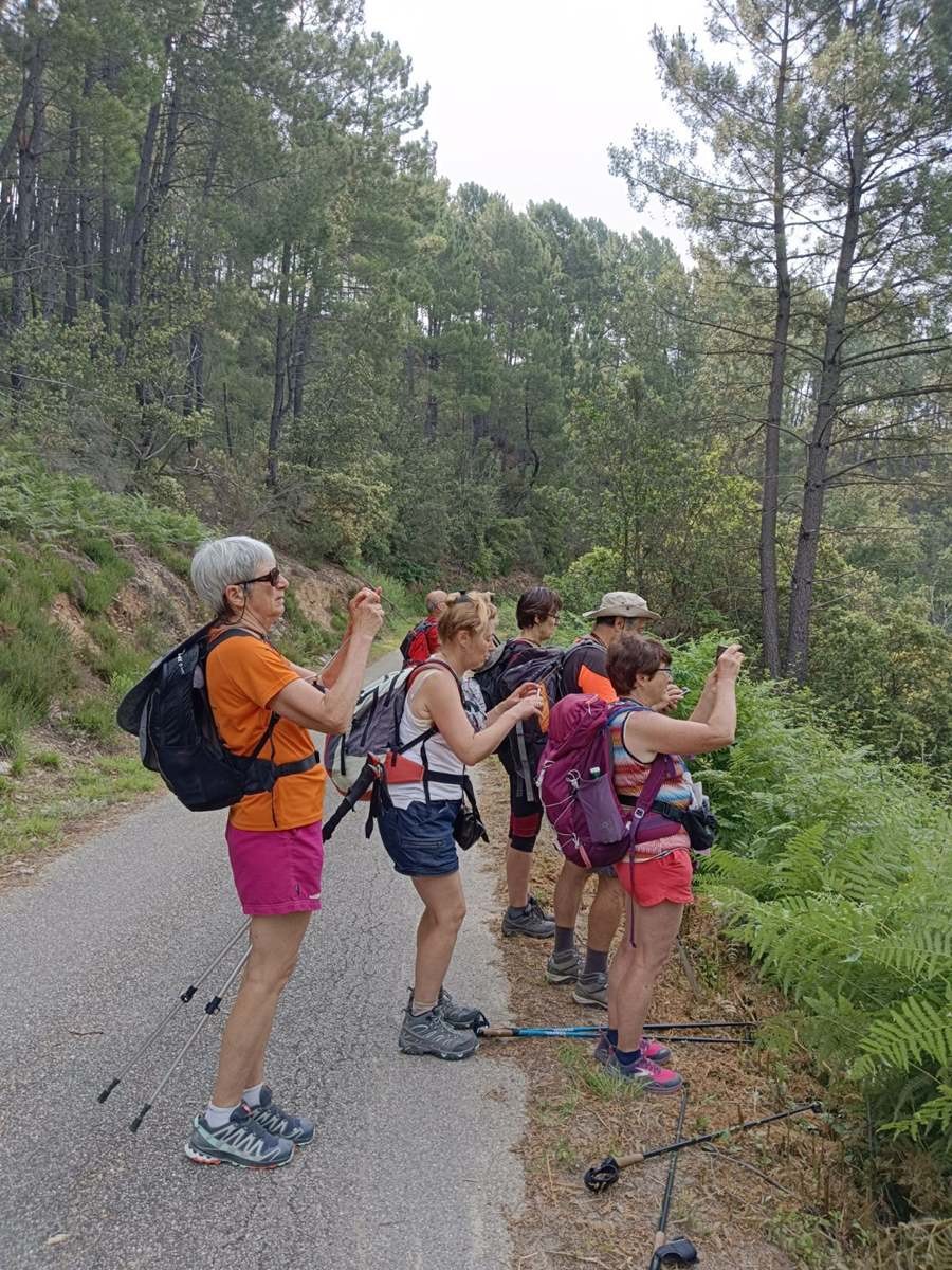 19 Juin: Douzième étape de Lébou à St-Jean-du-Gard par St-Etienne-Vallée-Française