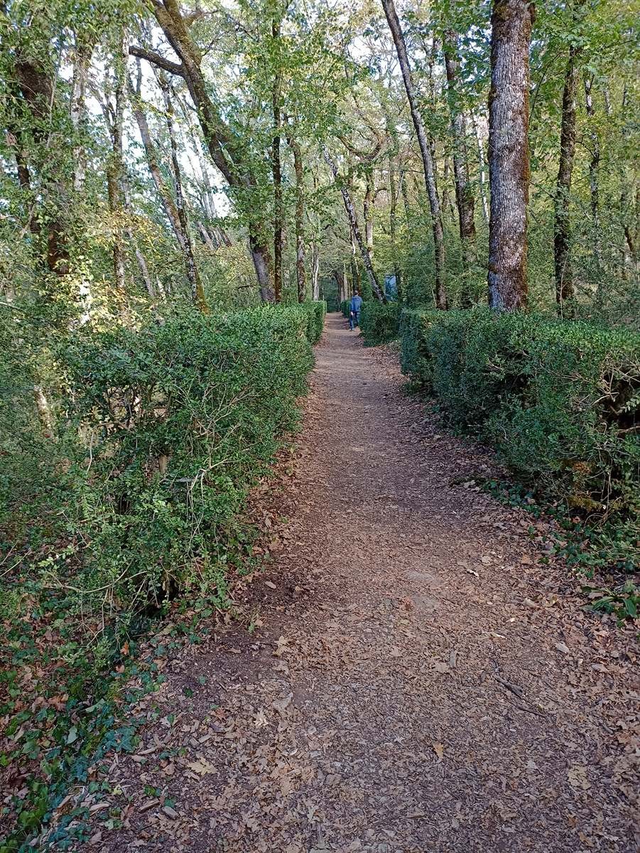 Lundi 16: Jardin de Marquessac