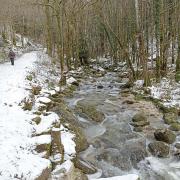 La rivière: le Hérisson