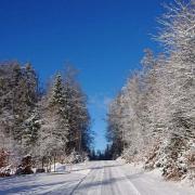 Jura sous la neige