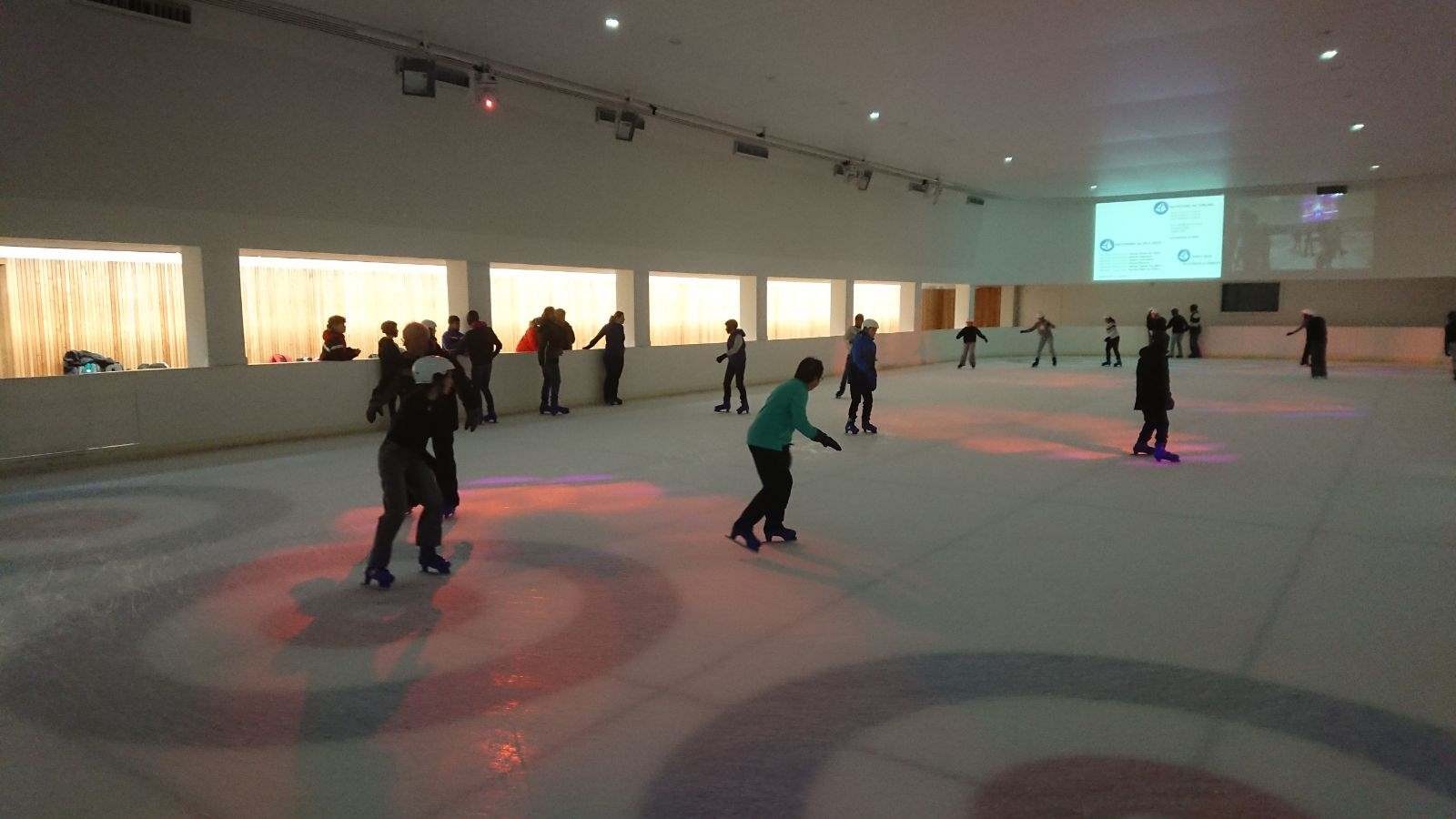 Espace des mondes polaires Paul Emile Victor- la patinoire
