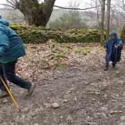 Magnifiques chemins creusois