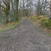 Magnifiques chemins creusois