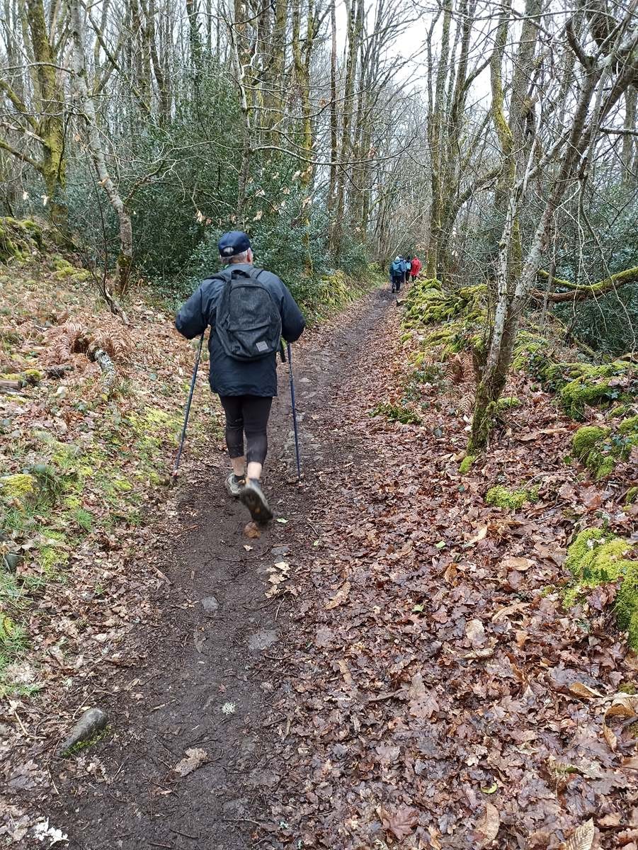 Magnifiques chemins creusois