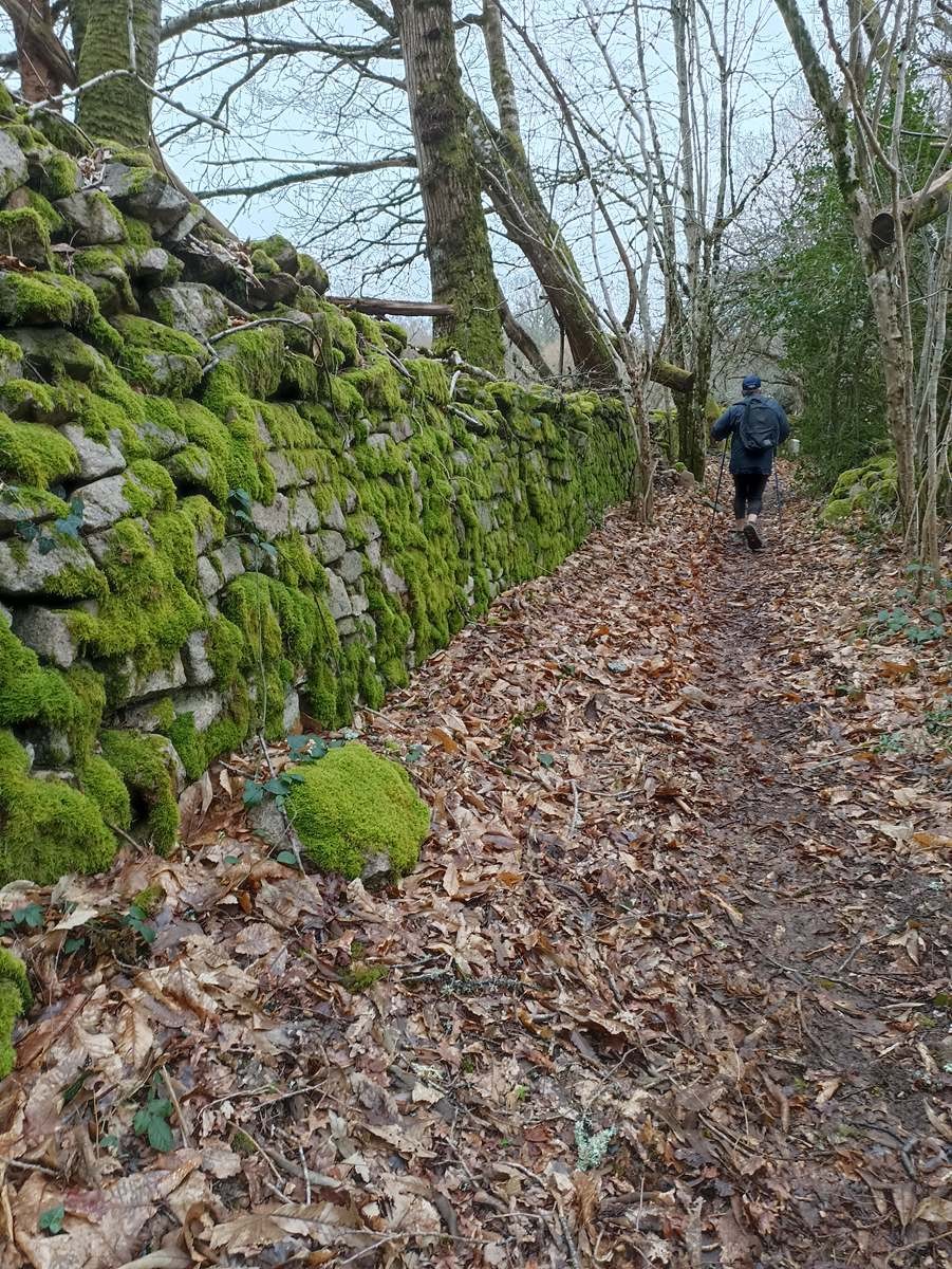 Magnifiques chemins creusois