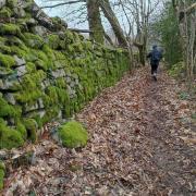 Magnifiques chemins creusois