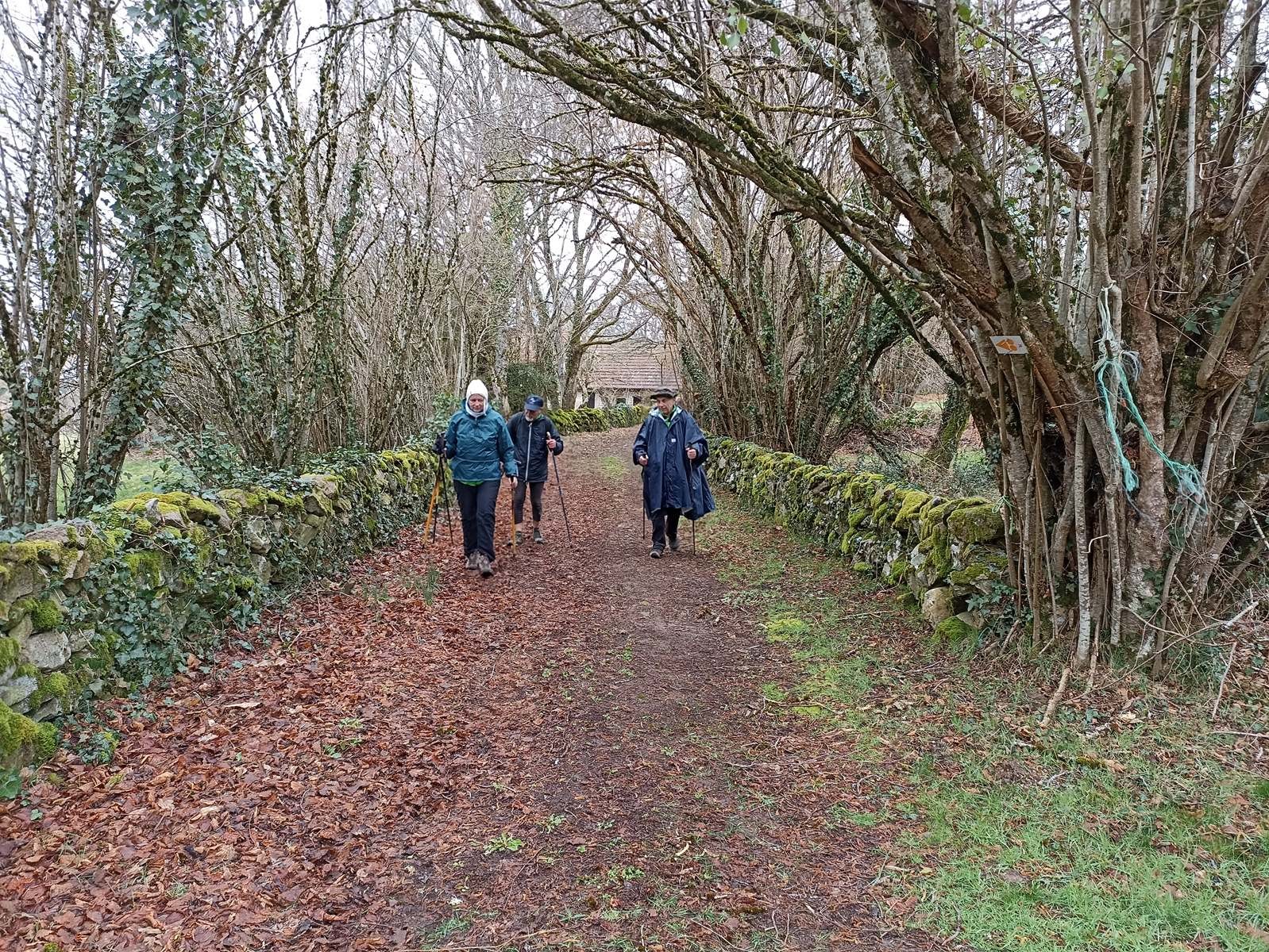 Magnifiques chemins creusois