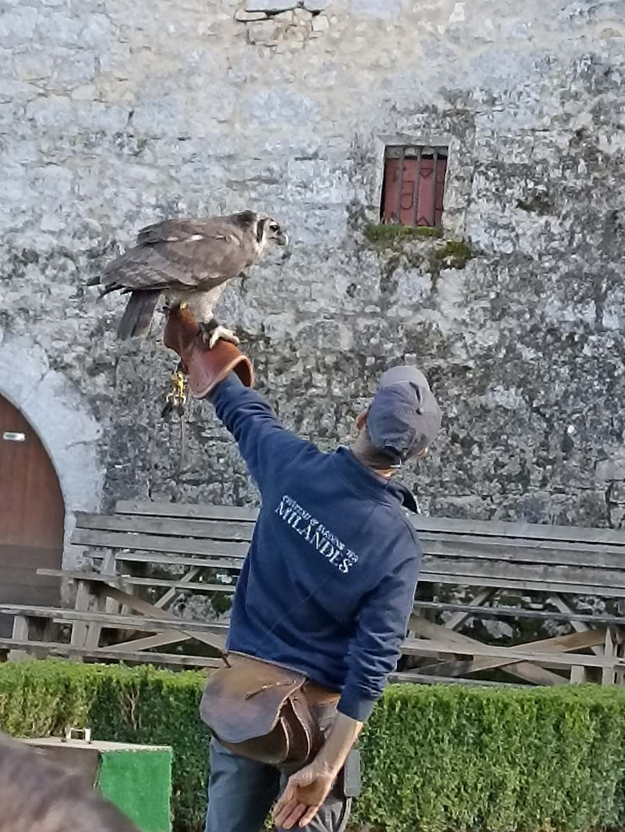 Château des Milandes-11 Octobre 2024