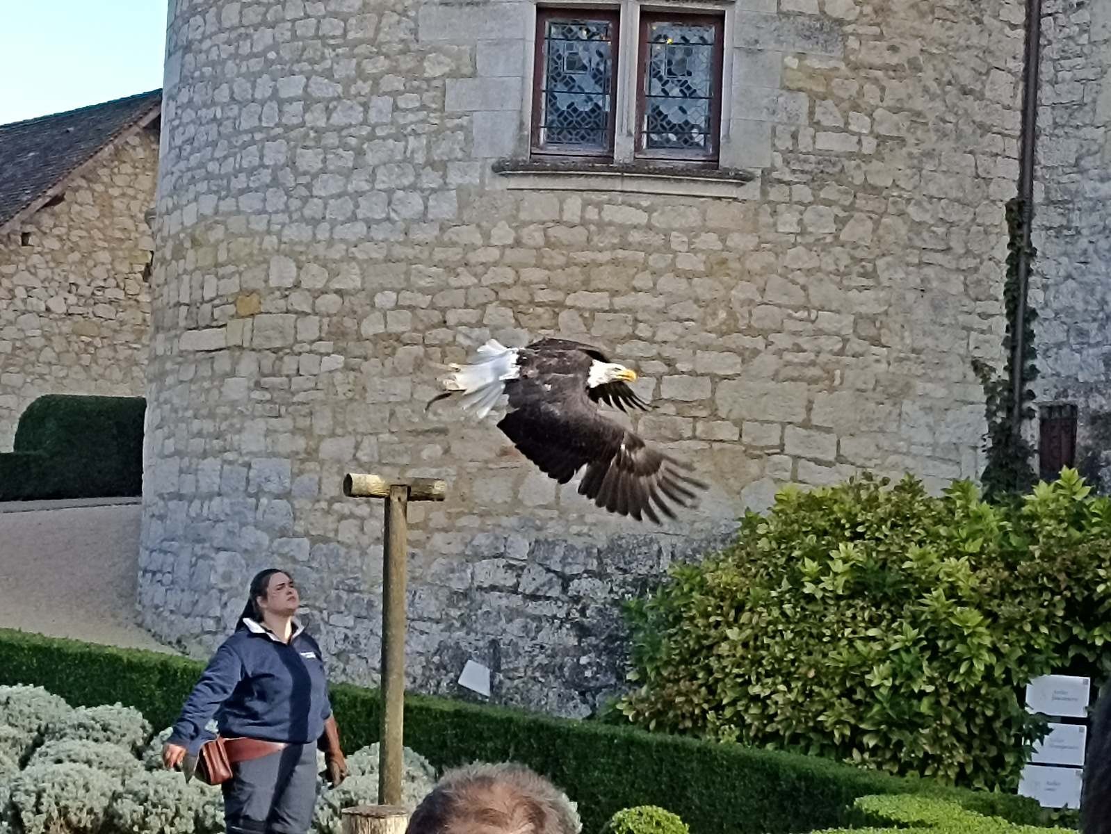 Château des Milandes-11 Octobre 2024