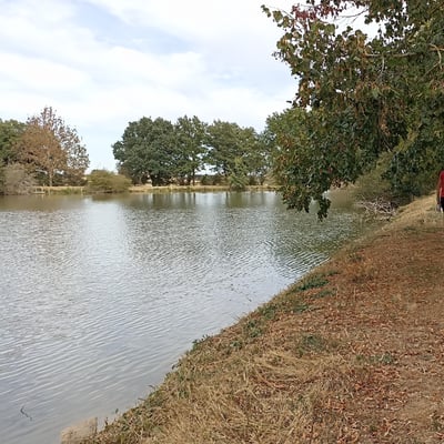 Promenade autour de l'étang