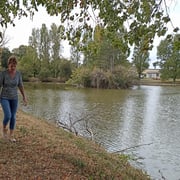 Promenade autour de l'étang