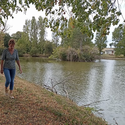 Promenade autour de l'étang