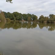 L'étang