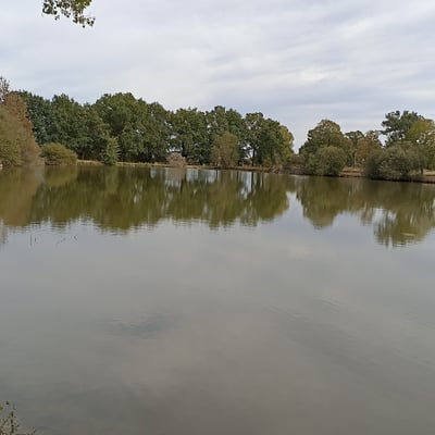 L'étang