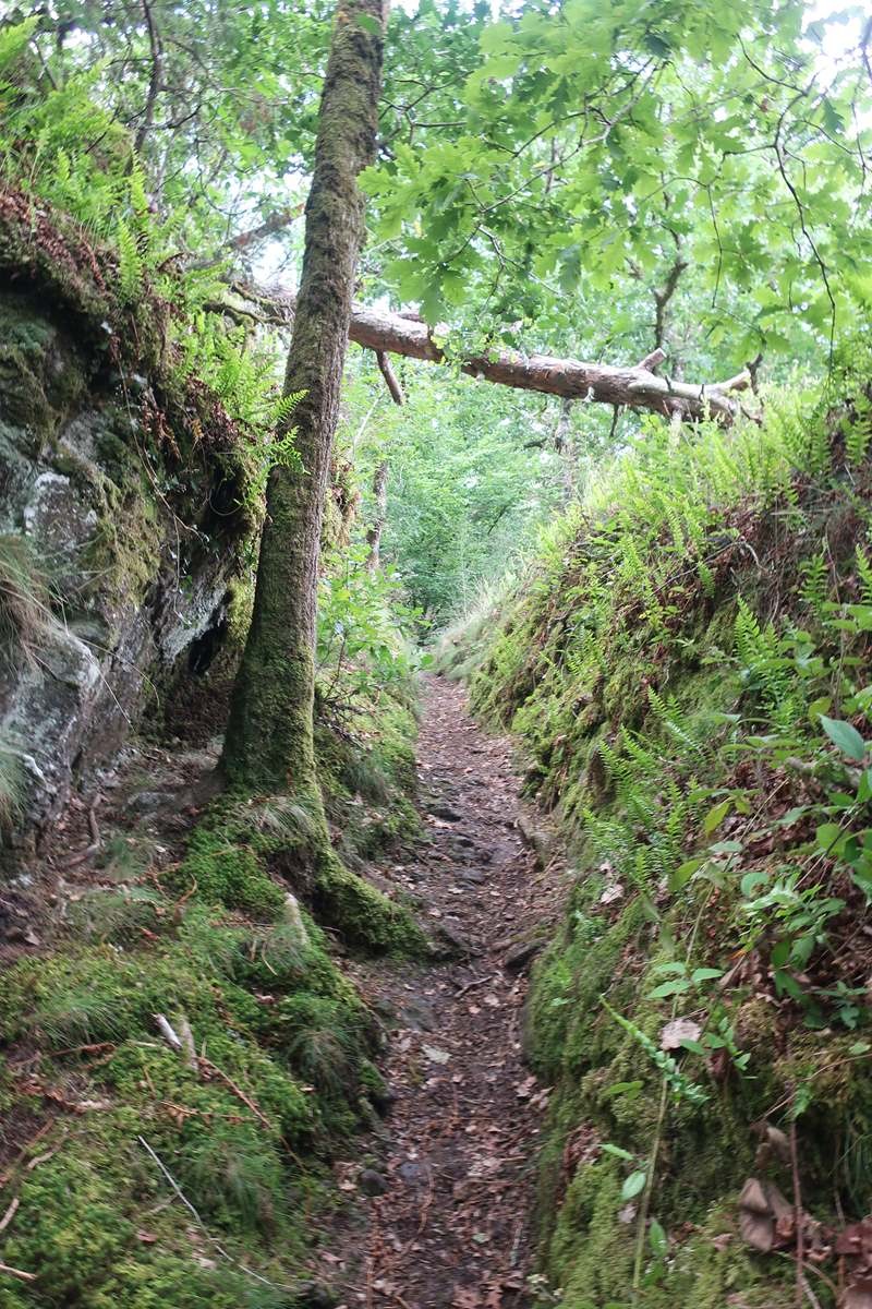 Sentier très agréable