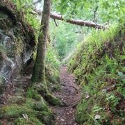 Sentier très agréable