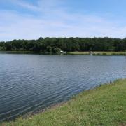 Etang de la Reyberie