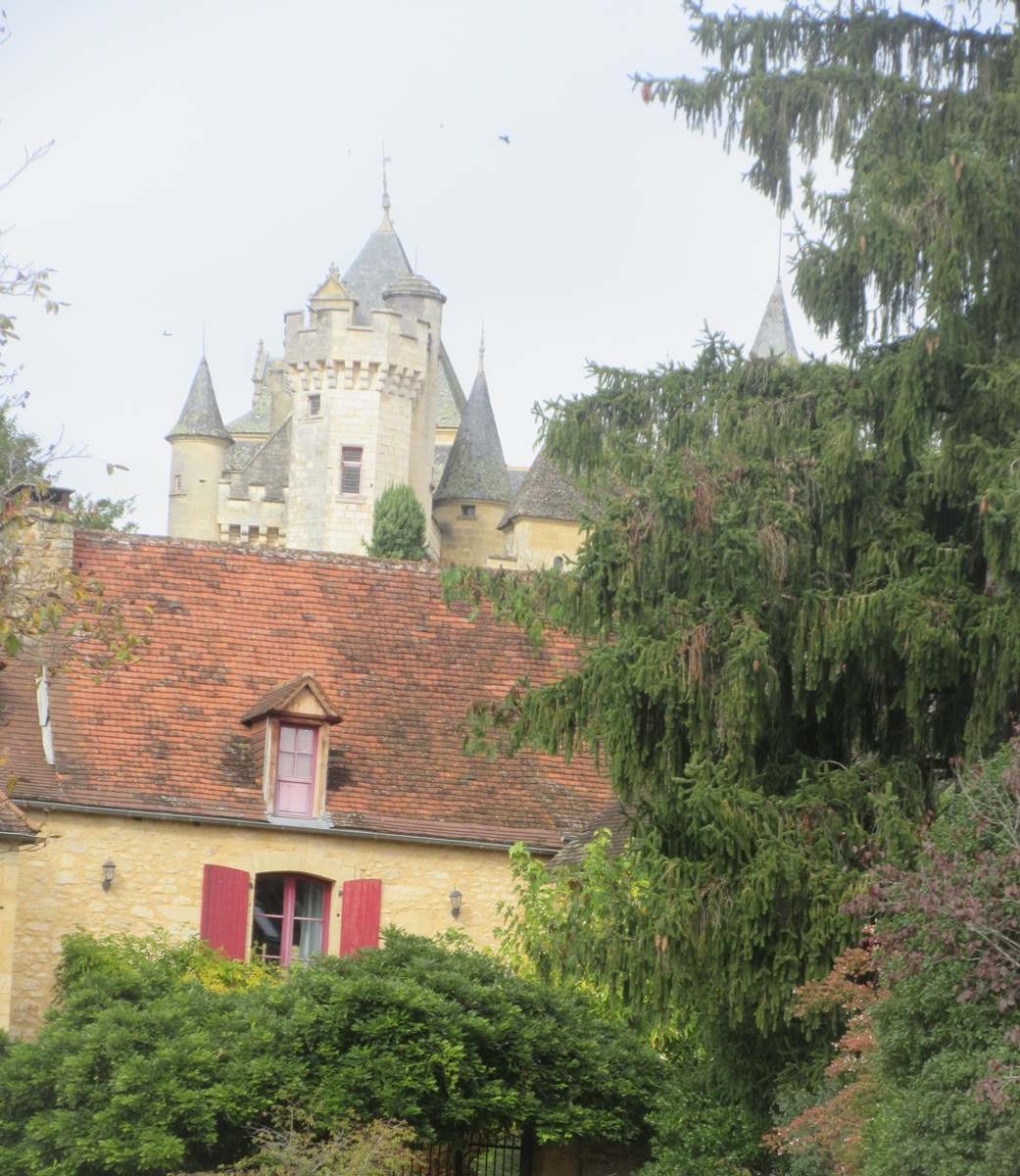 MONTFORT le château