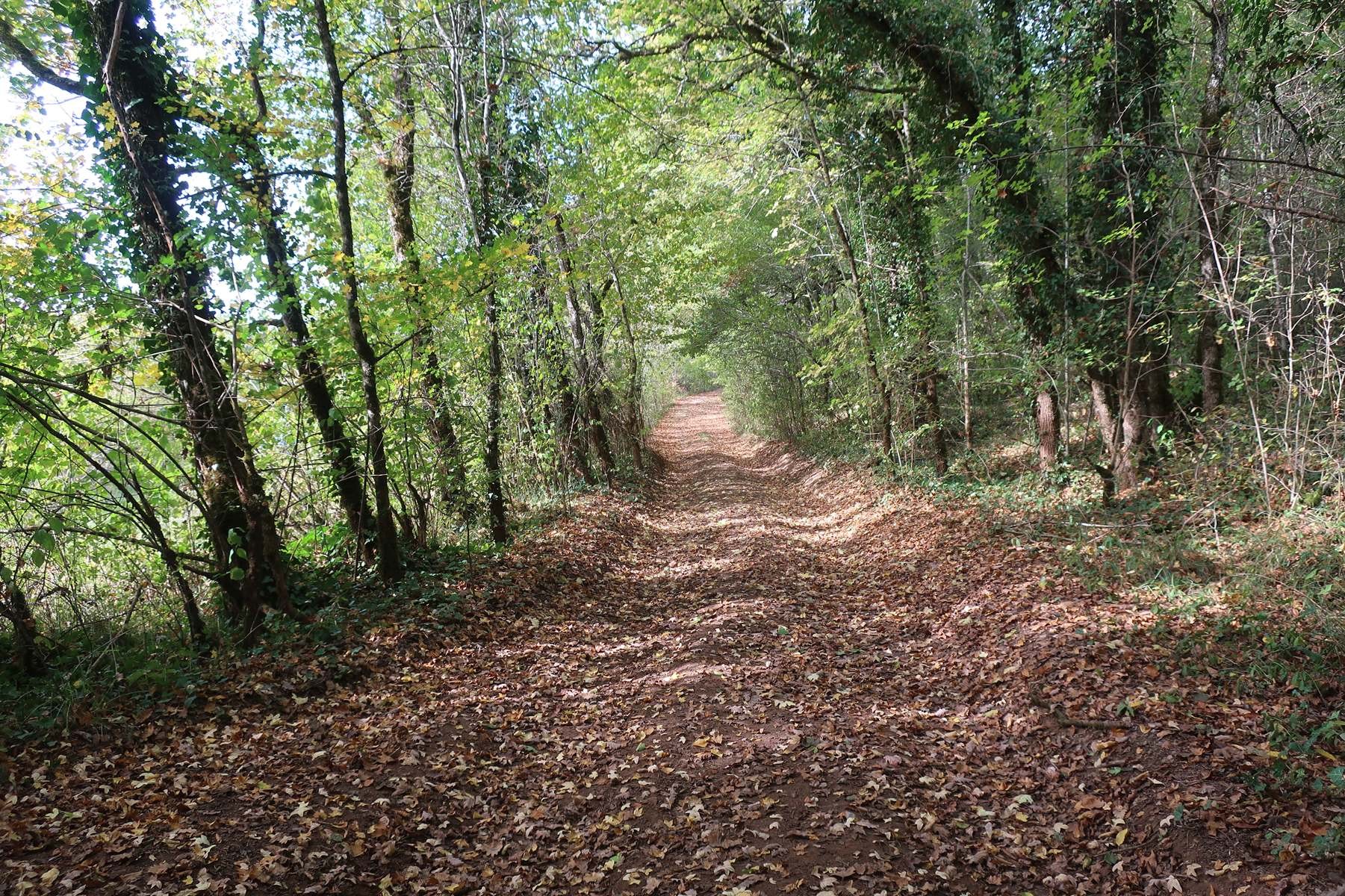 De Salignac Eyvigues à Jayac