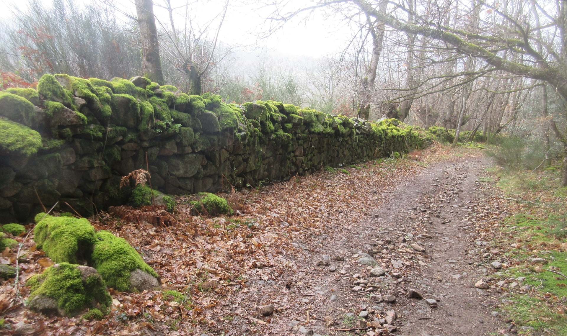 Chemin typique avec muret