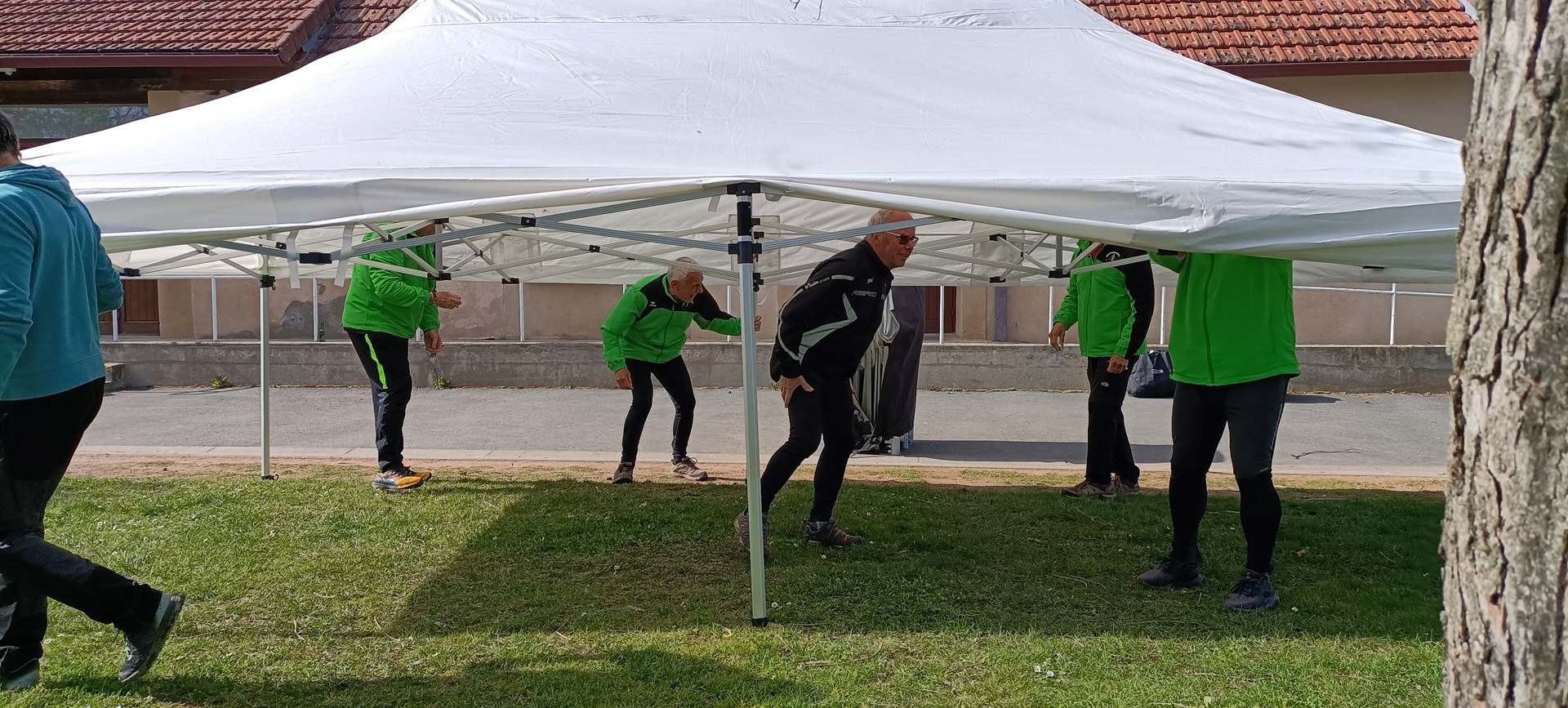 Démontage d'un barnum