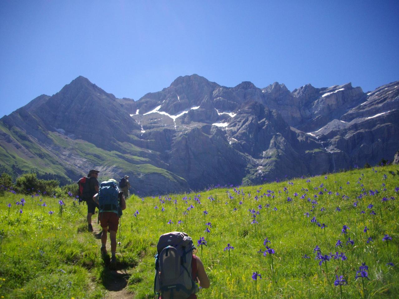 PYRENEES