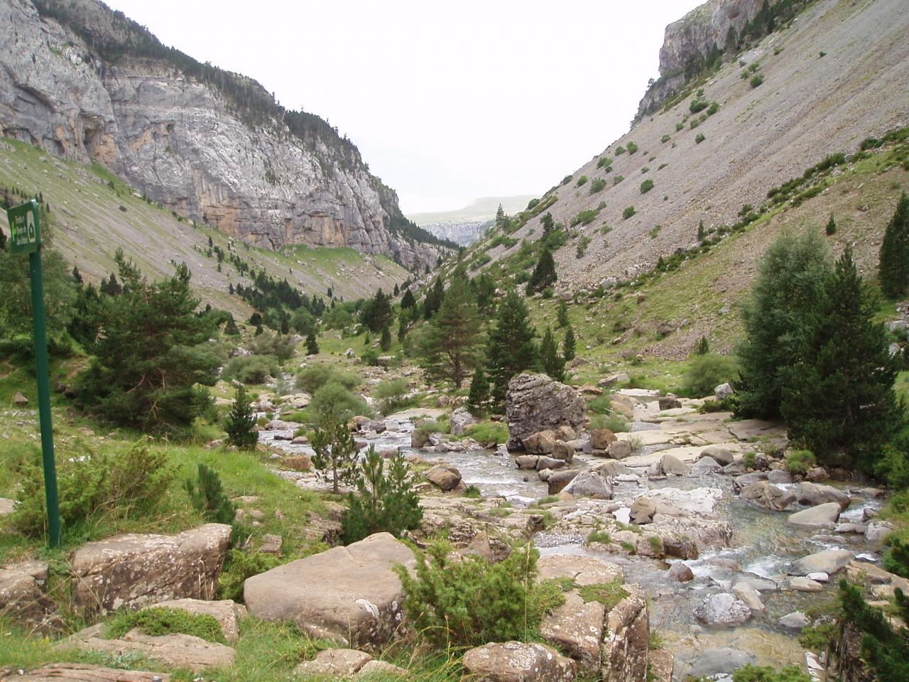 PYRENEES