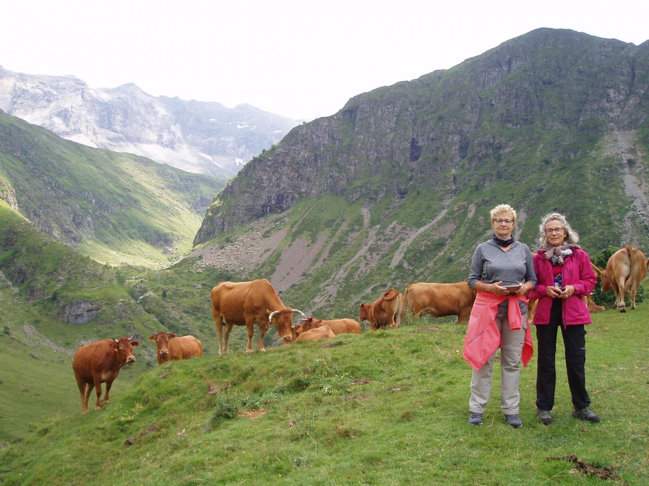 PYRENEES