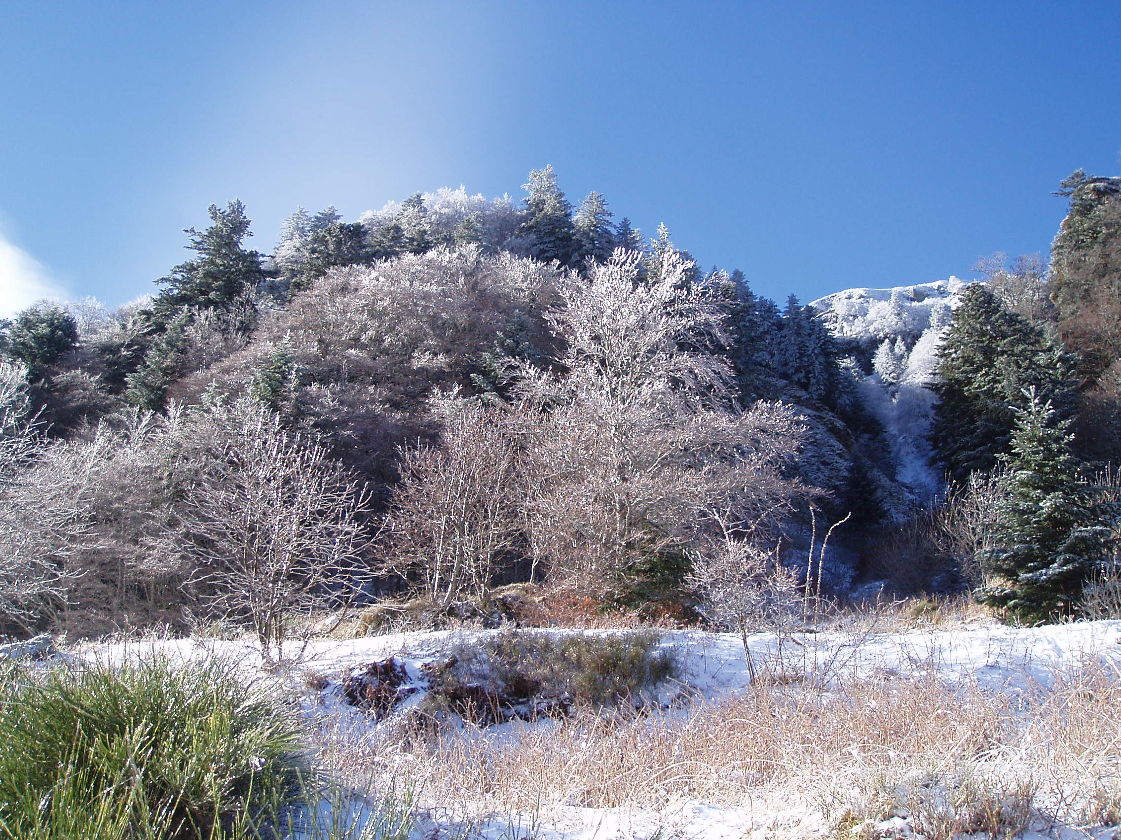 LE MONT DORE