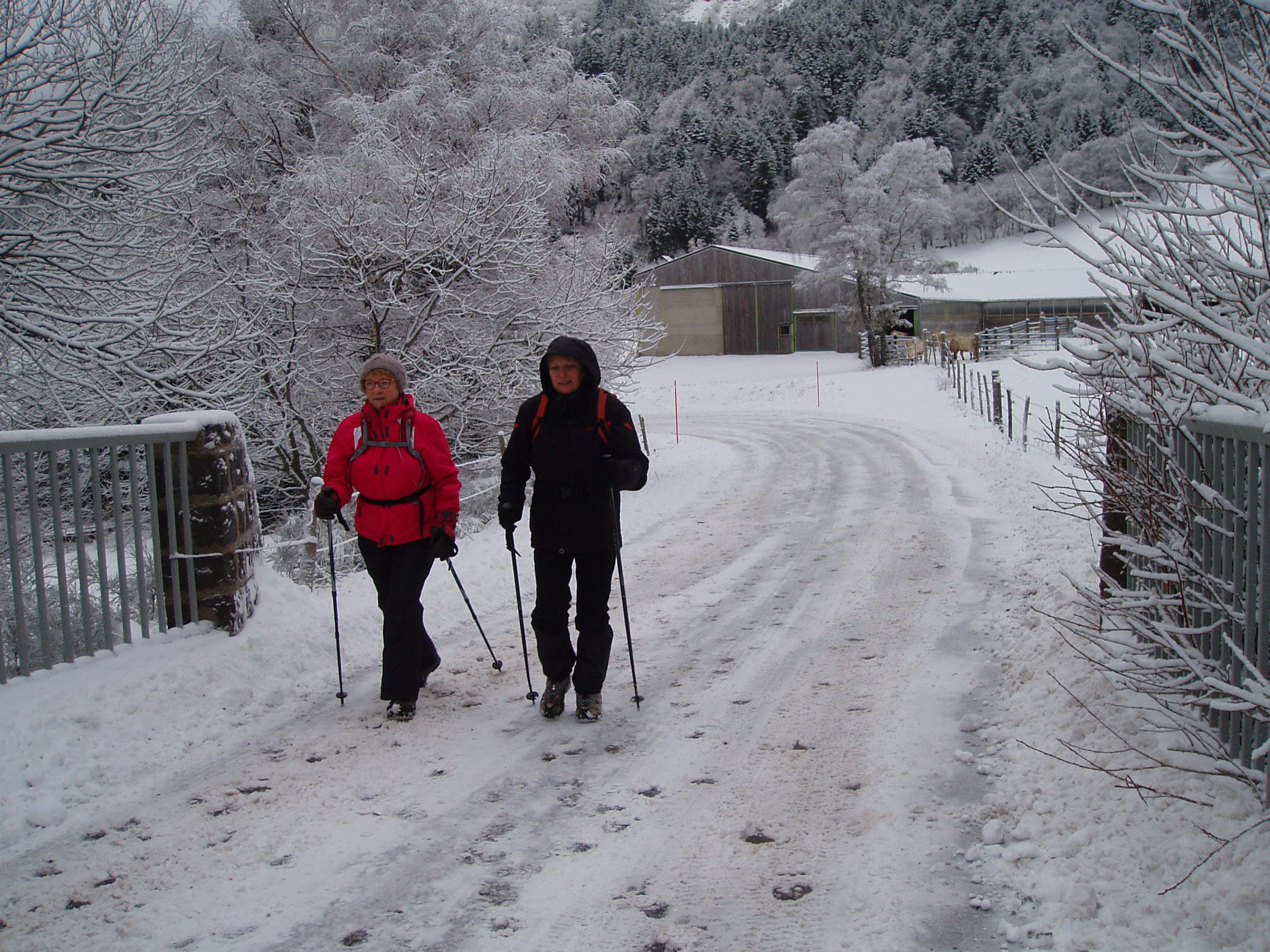 LE MONT DORE