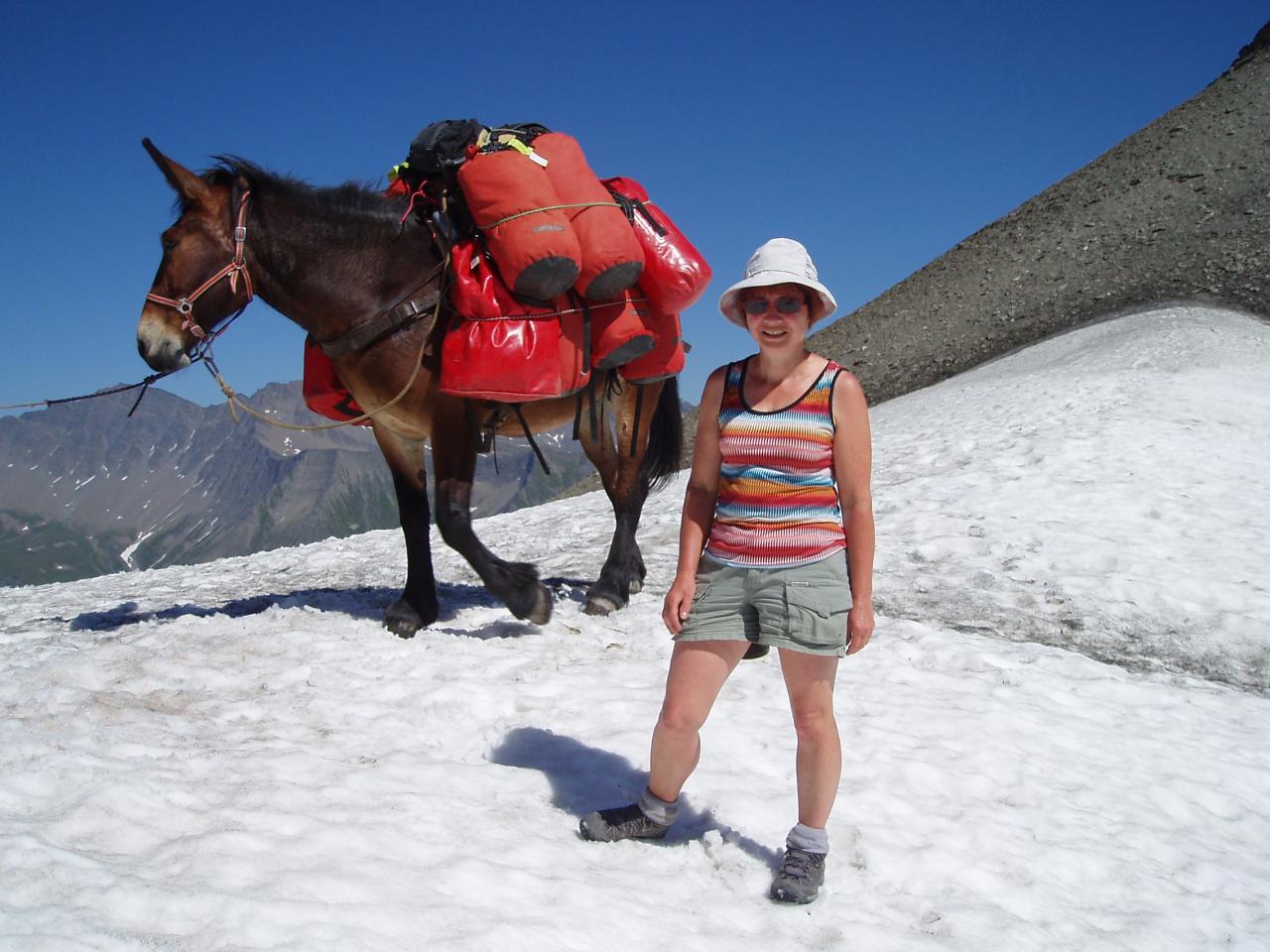 Notre guide et sa mule