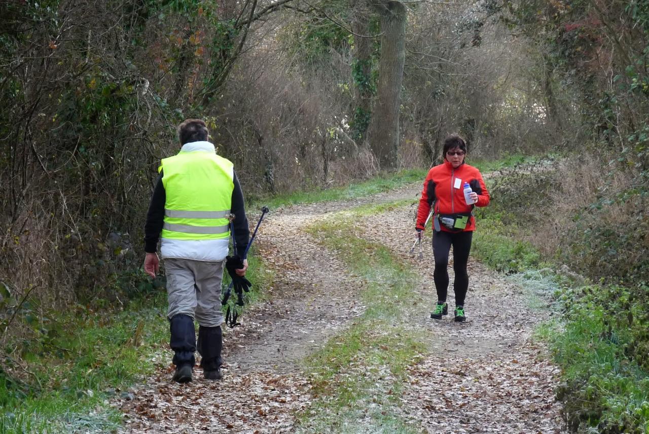 Sortie à Quinssaines le 4 Janvier 2014