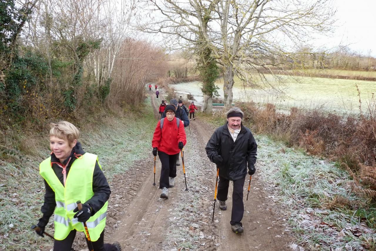 Sortie à Quinssaines le 4 Janvier 2014