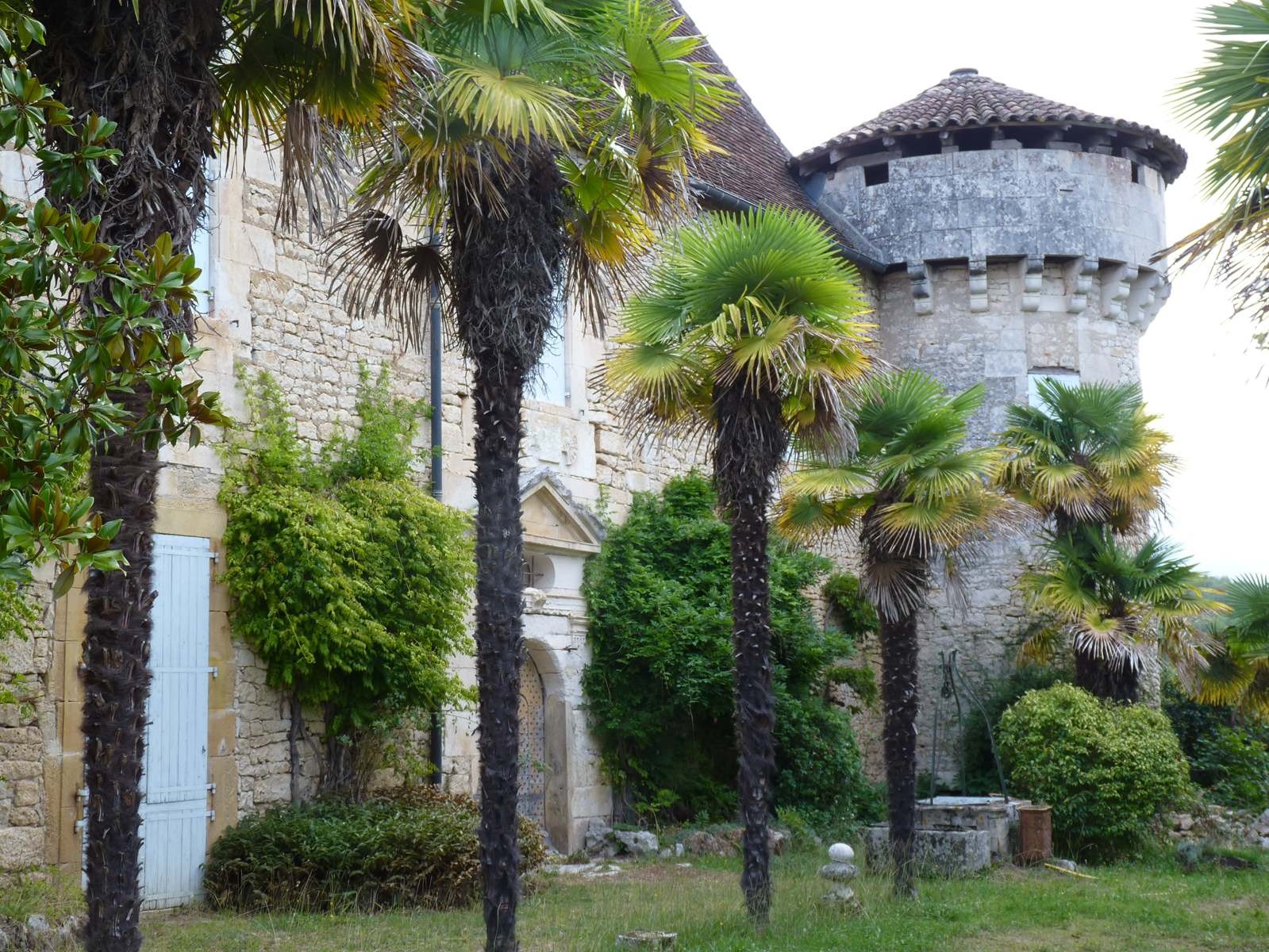 Vendredi 13: Saint Léon sur Vézère, visite et canoë