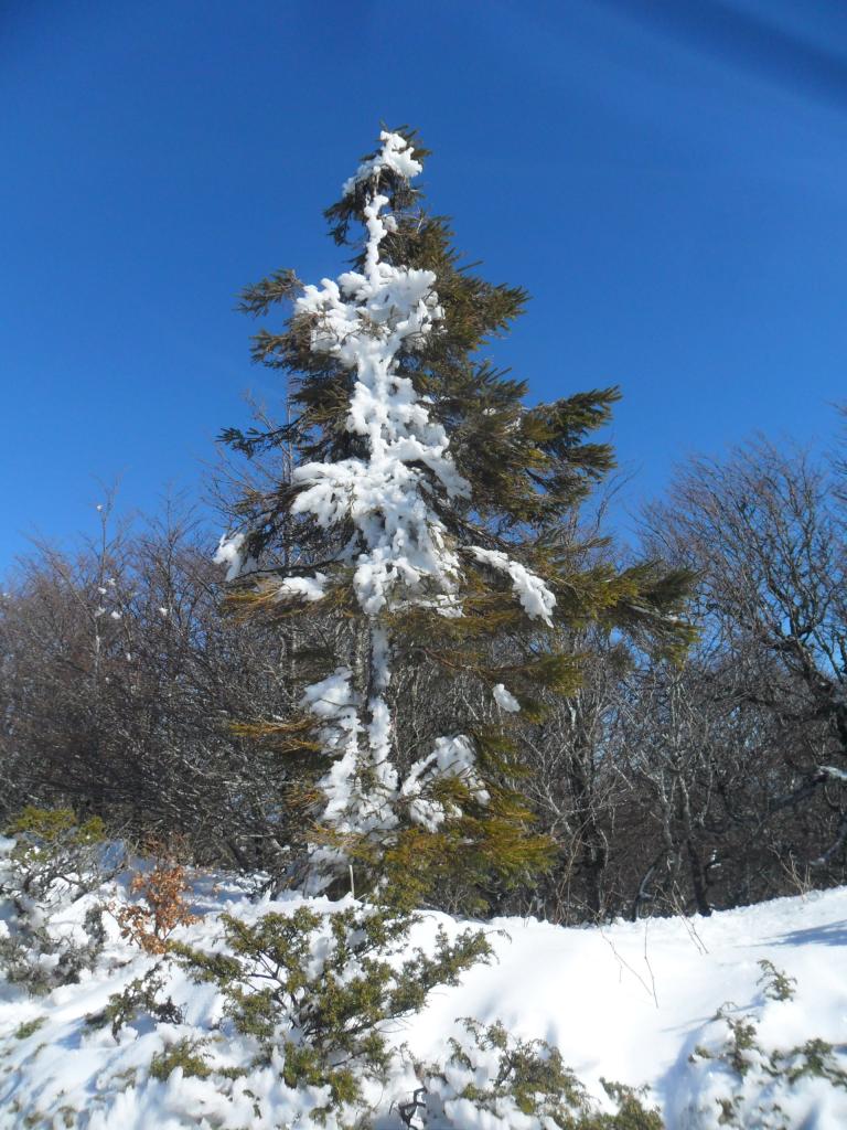 Sortie à Perthuizat le 23 Février 2014