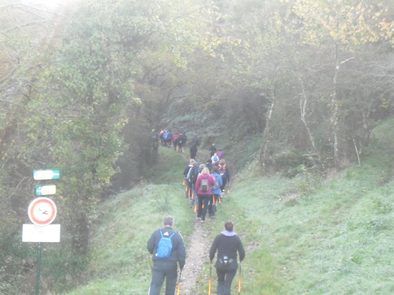 Désertines le 08 Novembre 2014