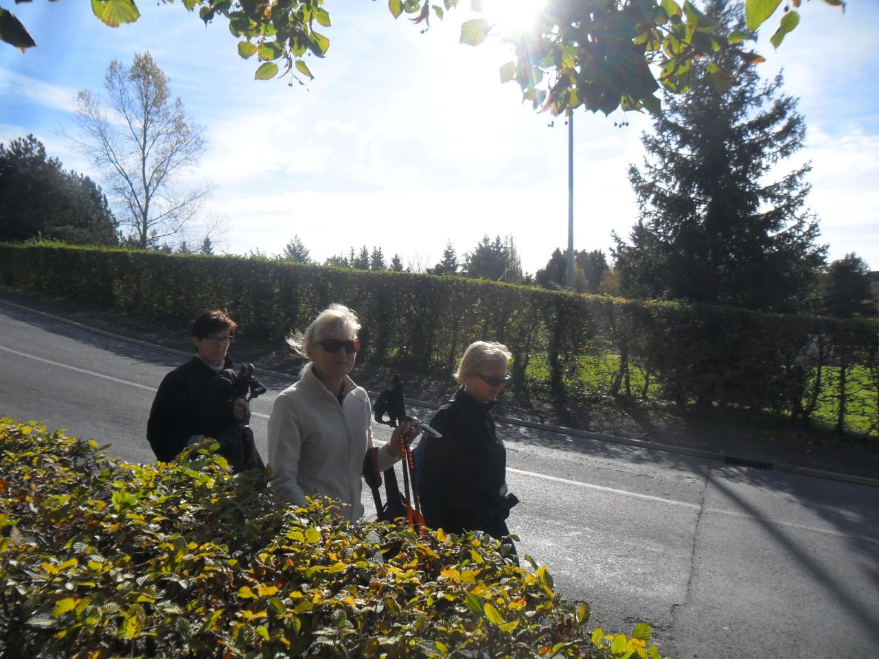 Désertines le 08 Novembre 2014